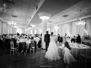 MATRIMONIO  SIRMIONE, VILLA TASSINARA