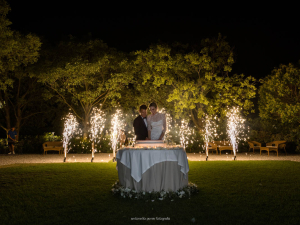 TAGLIO DELLA TORTA,MATRIMONIO,SIRMIONE