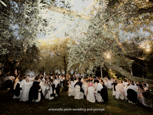 WEDDING PHOTOGRAPHER GARDA LAKE SIRMIONE