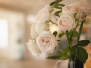 indoor photography, Garda Lake