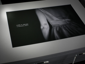 BOX PLEX FINEART