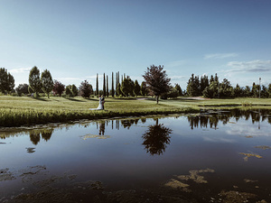 sposi-nel-parco-con-fotografo-lago-di-garda