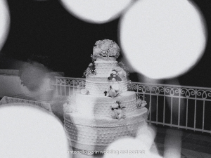 taglio della torta,fotografo di matrimonio